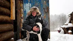 Visuel de Les loups de Tchernobyl