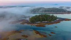 Les loups pêcheurs du Canada