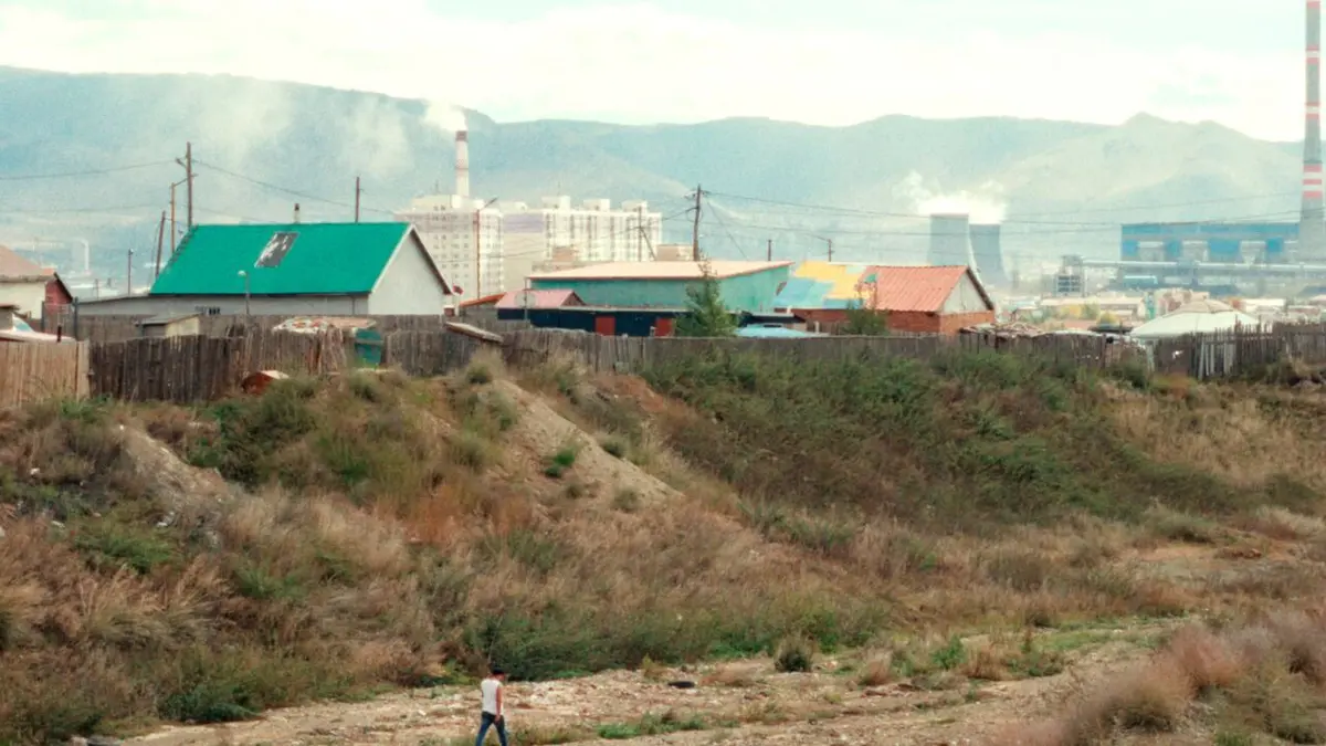 Les loups sortent toujours la nuit