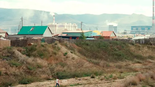 Les loups sortent toujours la nuit