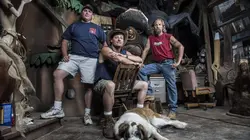 Les maîtres de la construction Le séquoia millénaire