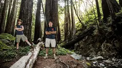 Les maîtres de la construction Les poussins de Holly Madison