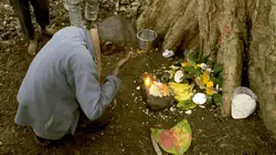 Les maîtres des abeilles  Inde, le miel des montagnes bleues