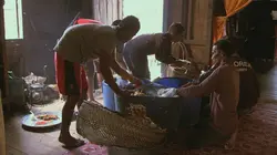 Les maîtres des abeilles Indonésie, l'arbre à miel sacré