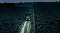 Les maîtres des abeilles  Argentine, à la recherche du paradis