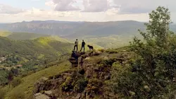 Les maîtres des abeilles France, le berger des abeilles