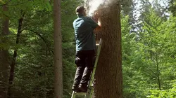 Les maîtres des abeilles Rosenfeld, un paradis pour les abeilles