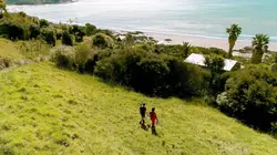 Les maîtres des abeilles Nouvelle-Zélande, le trésor des Maoris