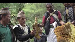 Les maîtres des abeilles S01E06 Népal, les Gurungs et l'abeille géante