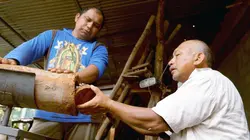 Les maîtres des abeilles Mexique, l'abeille maya