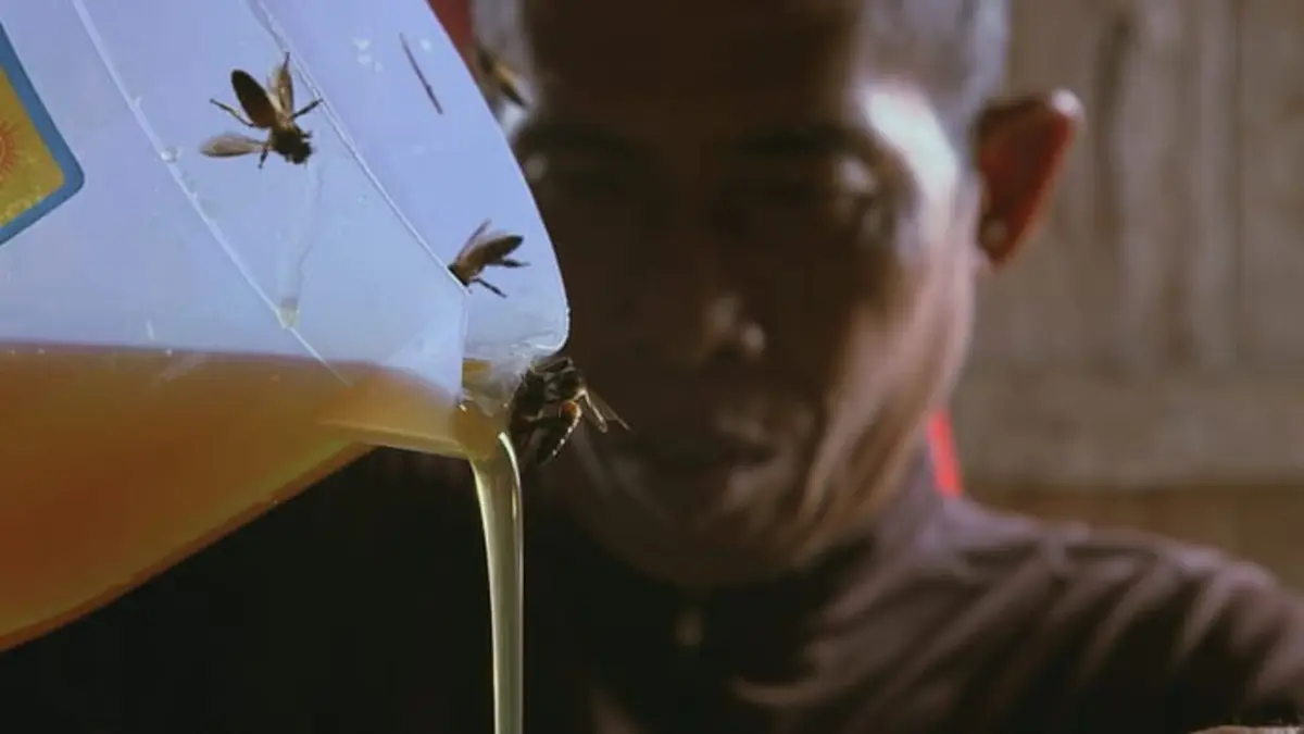 Les maîtres des abeilles Les arbres en héritage