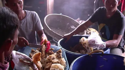 Les maîtres des abeilles Les chasseurs de miel