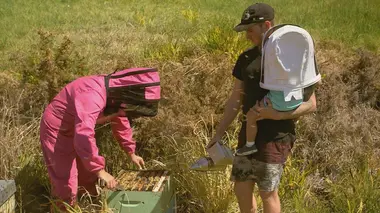 Des abeilles garantes de la survie d'une communauté