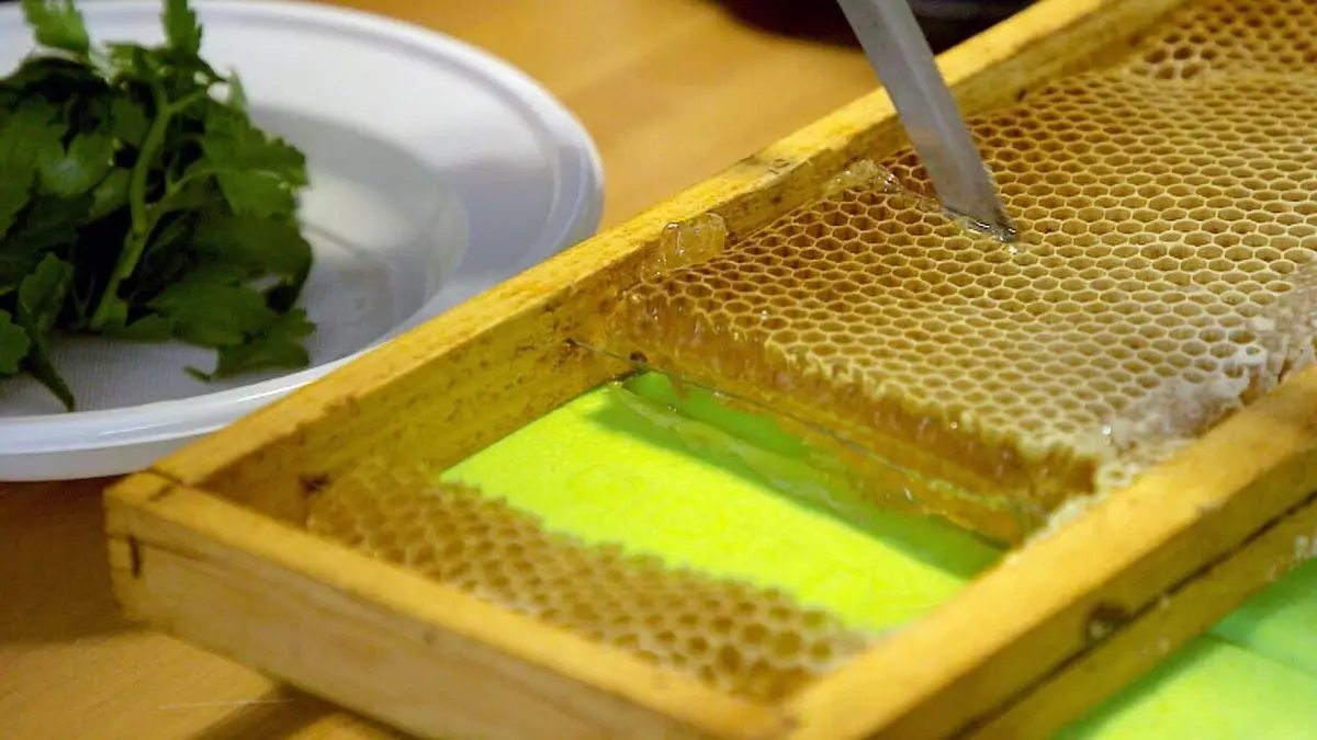 Les maîtres des abeilles Italie, l'abeille noire de Sicile