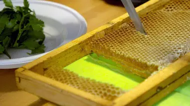 Italie, l'abeille noire de Sicile