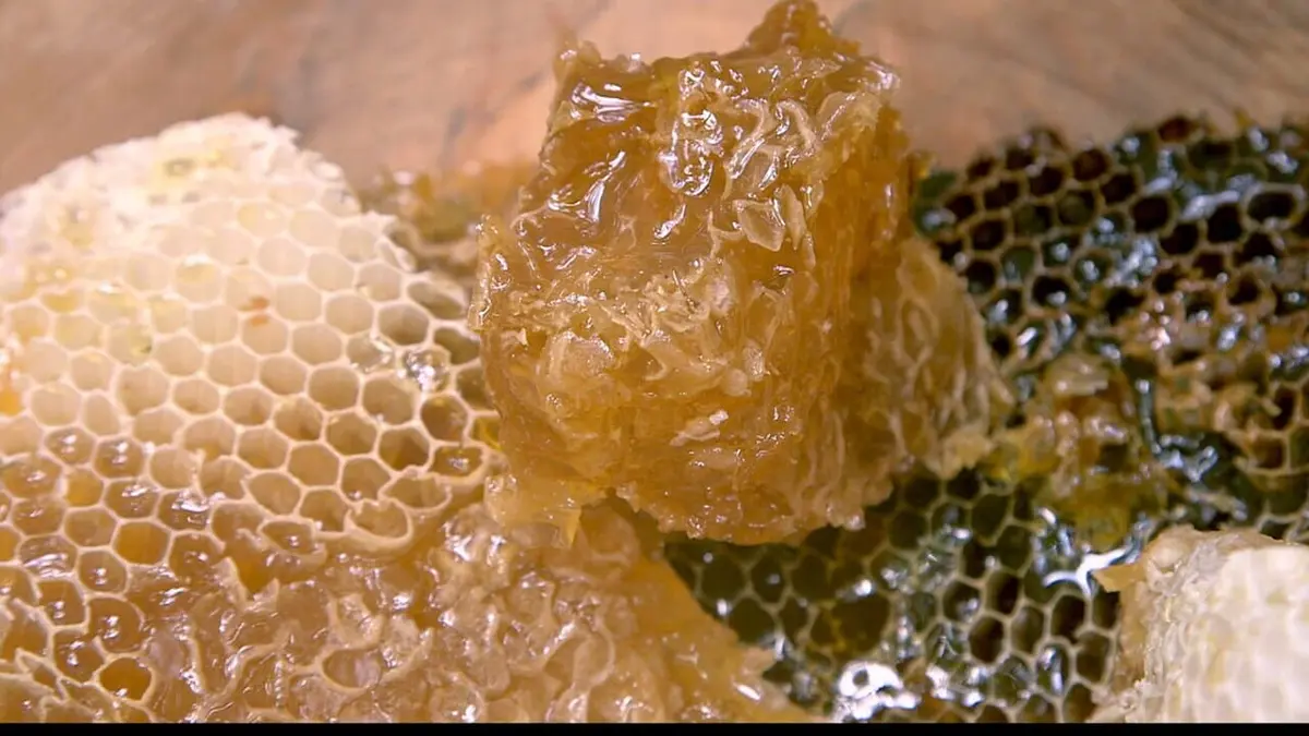Les maîtres des abeilles Turquie, deux rivaux pour un trésor