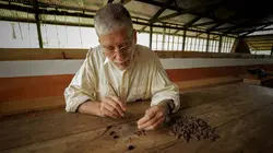 Les maîtres du chocolat