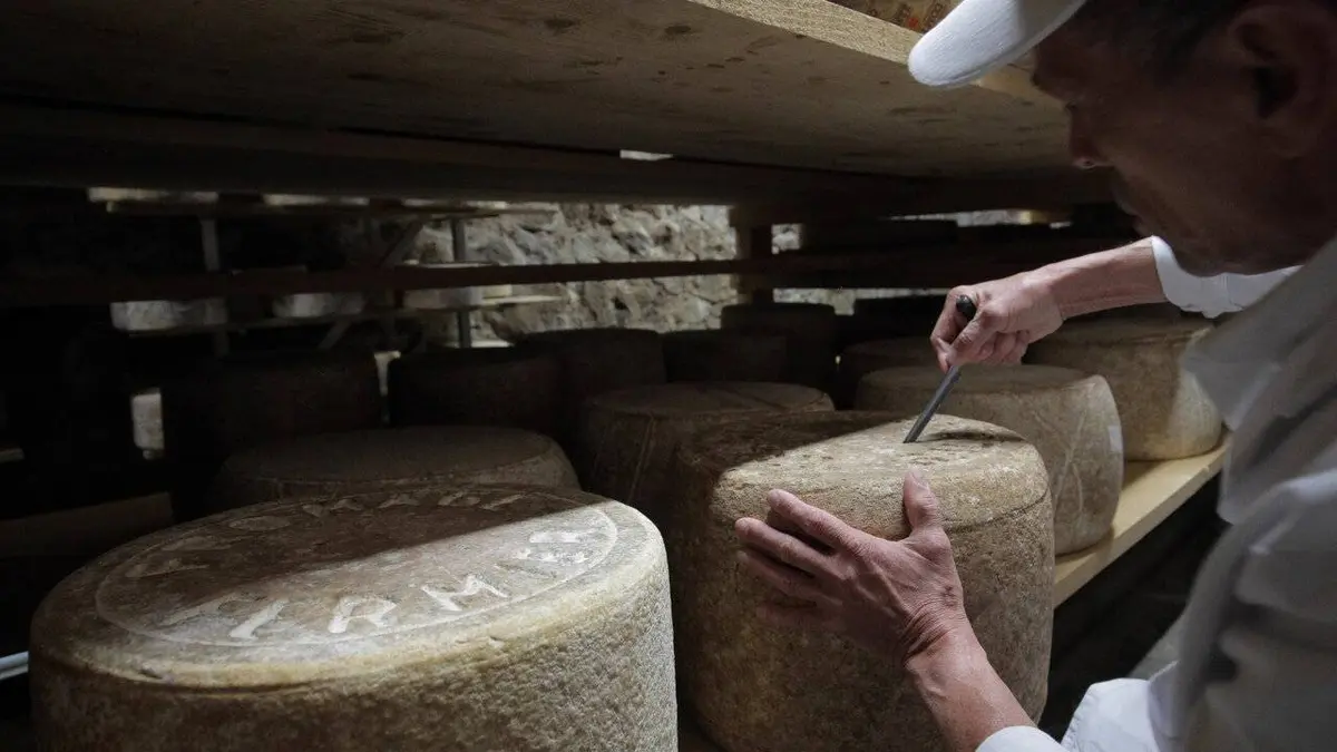 Les maîtres du fromage
