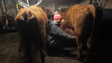 Les maîtres du fromage