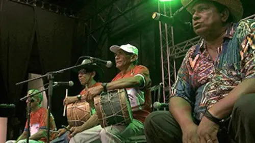 Les maîtres du gamba