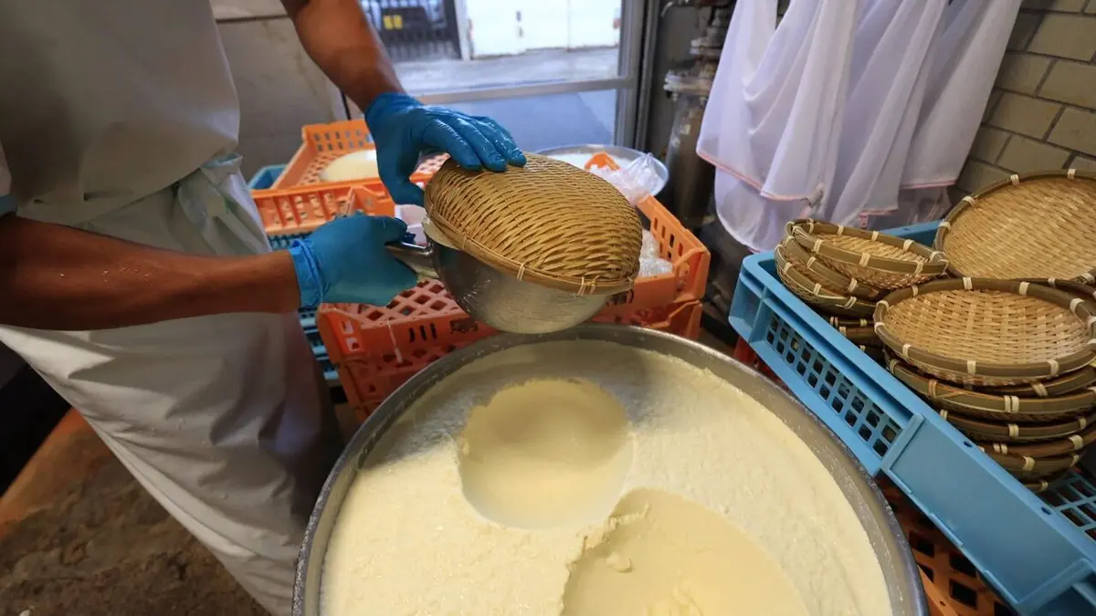 Les maîtres du tofu