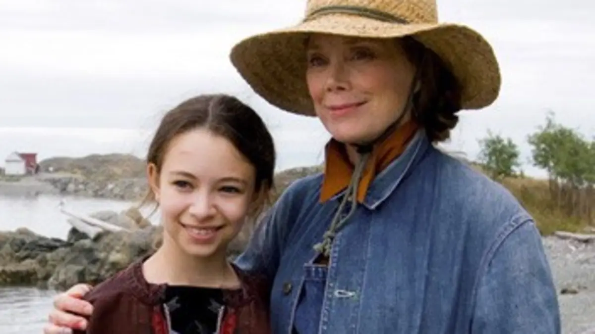 Les malheurs de Hollis Woods