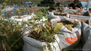 Biosphère du désert