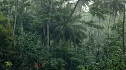 Les Marquises, aux sources de la Polynésie