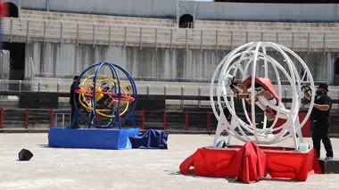 Les Marseillais vs le reste du monde