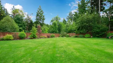 Les Marseillais vs le reste du monde