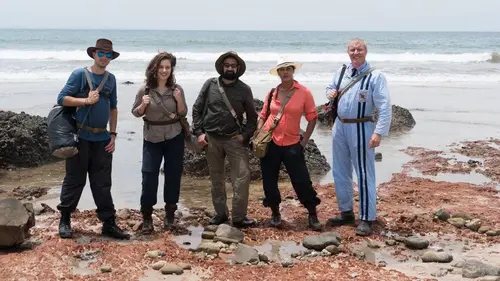 Audiences TV : Les mécanos de l'extrême