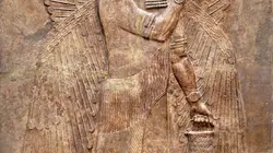 Les Médicis : Lorenzo le Magnifique S02E02 Lorenzo le magnifique : Un combat solitaire