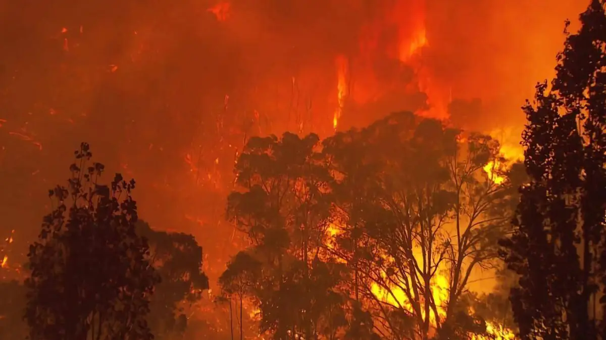 Les mégafeux : La nouvelle guerre du feu