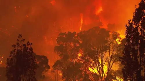 Les mégafeux : La nouvelle guerre du feu