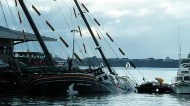 Les mensonges de l'histoire Le Rainbow Warrior