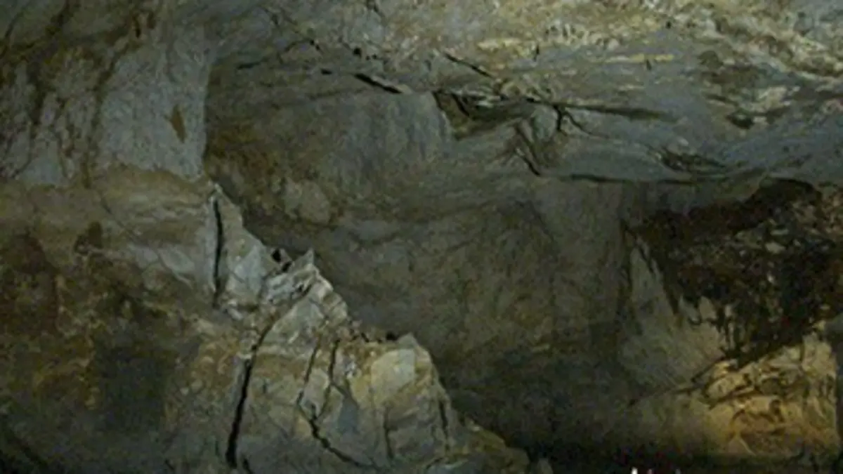 Les merveilles de la nature