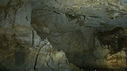 Épisodes de Les merveilles de la nature