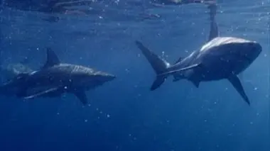 L'archipel de Bazaruto