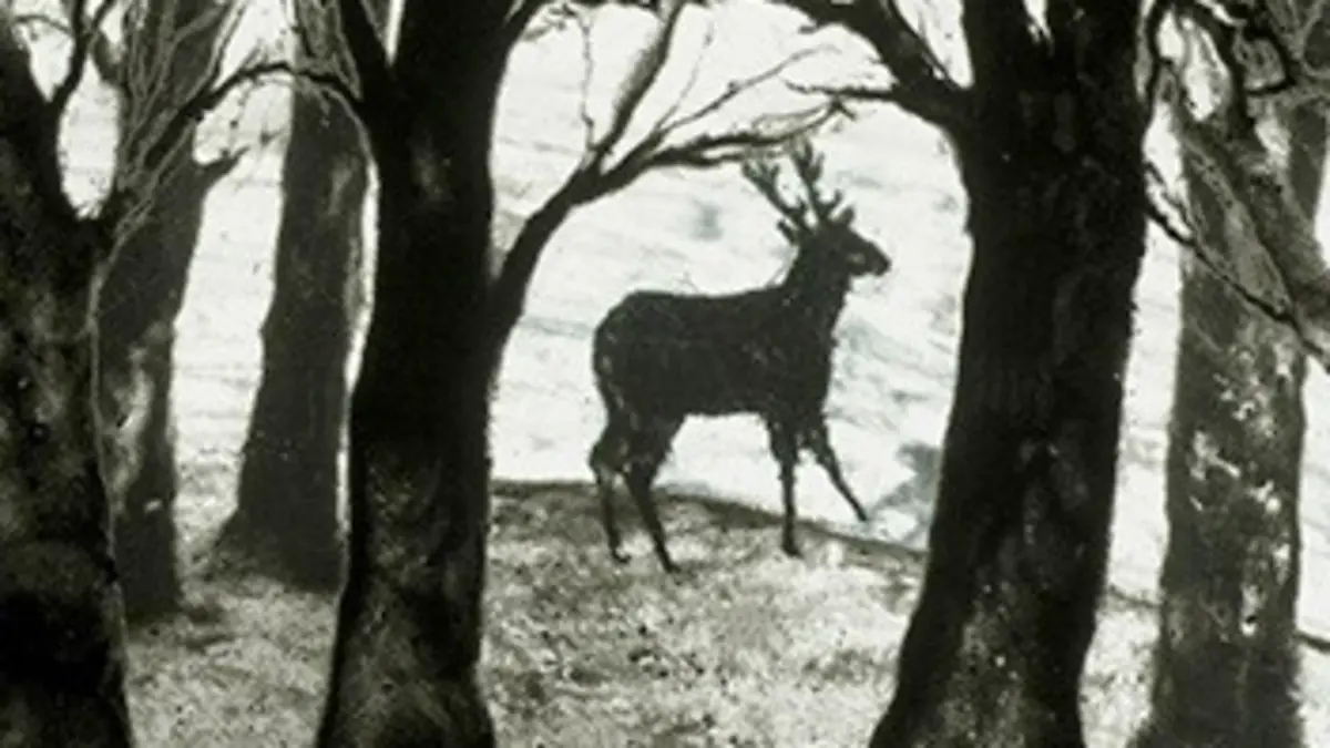 Casting Les métamorphoses d'Ovide Histoire d'Actéon