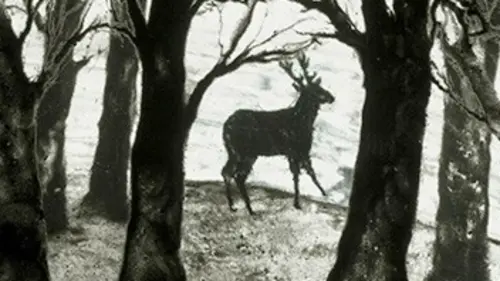 Les métamorphoses d'Ovide Histoire d'Actéon