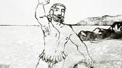 Visuel de Les métamorphoses d'Ovide