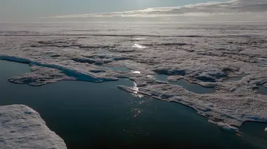 Les métamorphoses des glaces polaires : Un défi pour les écosystèmes