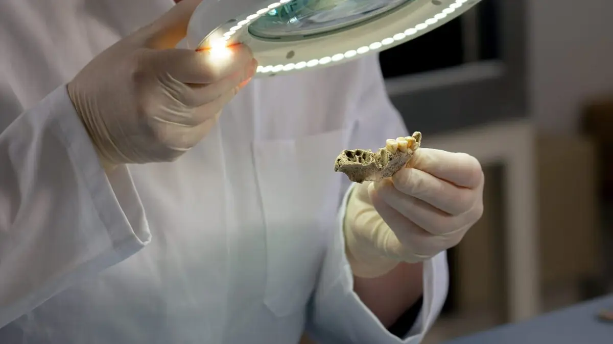 Les métropoles du Néolithique