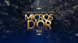 Visuel de Les Micros d'Or