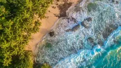 Les mille et un crabes de l'île Christmas