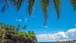 Les mille et un crabes de l'île Christmas