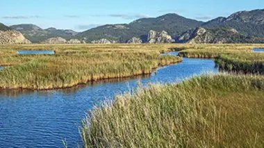 La côte méditerranéenne