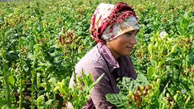 La côte de la mer Noire