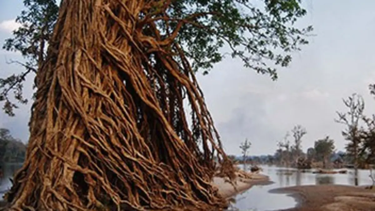 Les miracles de la mousson S01E02 Le déluge