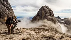 Visuel de Les miracles de la mousson